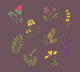 flowers with leaves symbol bundle vector design