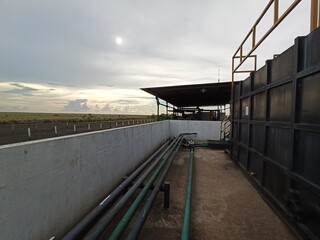 bridge over the river