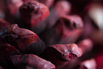Macro closeup of red scented pine cone.