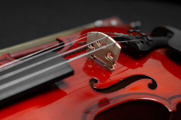 Close view of a classical small violin, strings and bridge over a dark black blanket background
