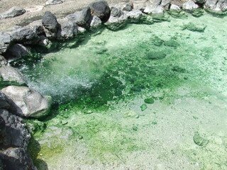 日本
群馬
草津温泉
西の河原温泉
西の河原公園
酸性
効能
お湯
湧き出る
自然
効能
酸性のお湯
観光地
有名
お風呂
天然