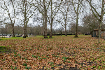 Walking through Hyde Park in London