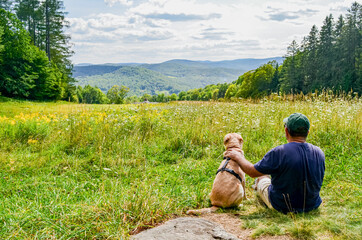 A hiker and his dog share a moment gazing out over a beautiful summer field and the rolling New England landscape.  Vermont, USA. - obrazy, fototapety, plakaty