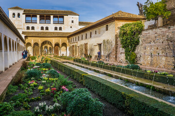 Obraz premium Inside the Generalife palace (part of the Alhambra complex in Granada, Spain), gardens and fountains welcome the visitor. 