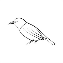 bird icon vector. bird vector graphic illustration on white background. color editable