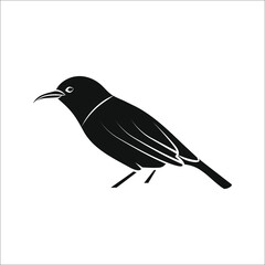 bird icon vector. bird vector graphic illustration on white background. color editable