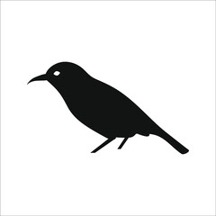 bird icon vector. bird vector graphic illustration on white background. color editable