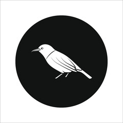 bird icon vector. bird vector graphic illustration on white background. color editable