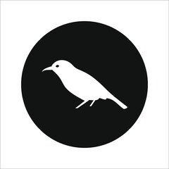 bird icon vector. bird vector graphic illustration on white background. color editable