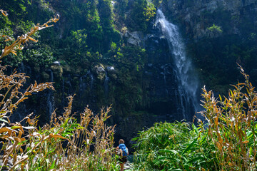 Obraz premium Grand bassin