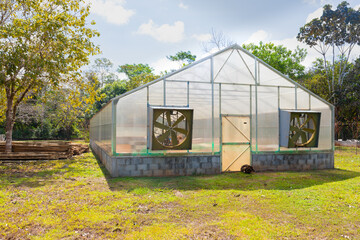 Panama Sabana Bonita, greenhouse with forced ventilation