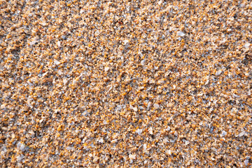 Abstract sand texture style for material and wallpaper.