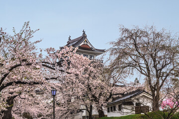 春の横手城の風景