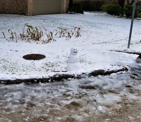 Snowman in Houston, Texas