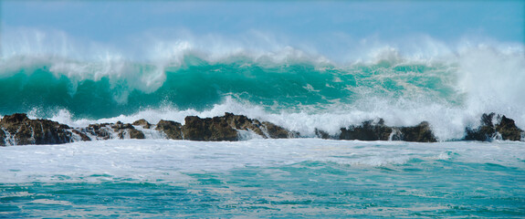 Hawaii Wave Pupukea, Sharks Cove