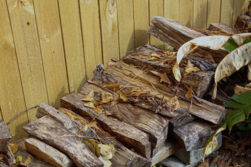 Stack of wood