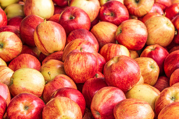 fresh organic apples close up at market for background
