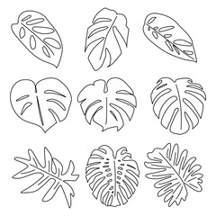 Collection of monstera leaf line art