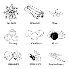 set of Spices and herbs hand drawn icons