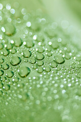 Colorful water droplets macro modern dreamy wet background high quality prints fifty megapixels