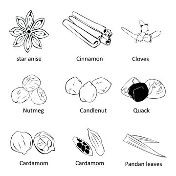 Candlenut Images – Browse 2,775 Stock Photos, Vectors, and Video ...