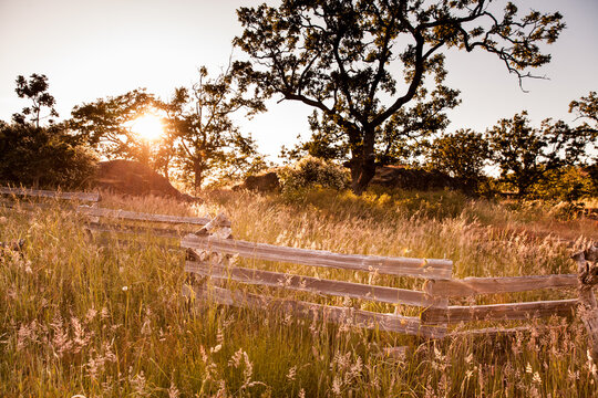 sunset over an olf fence in a grass field near Victoria, BC, Canada