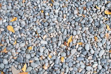 Pebble stones with fallen leaves on the ground.