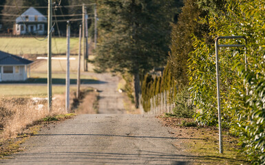 Obraz premium rural farm road