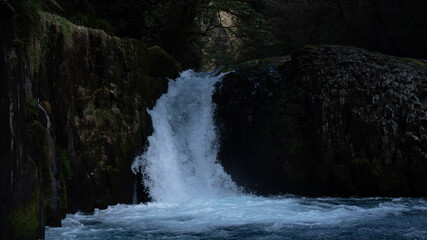 waterfall in the forest