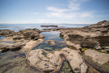 alien low tide sandstone landscape, Vancouver Island, BC, Canada