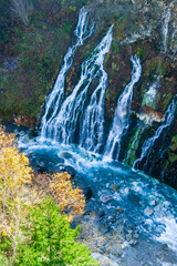 美瑛　白ひげの滝