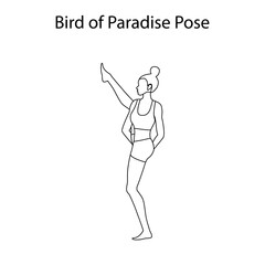 Bird of paradise pose yoga workout outline
