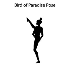 Bird of paradise pose yoga workout silhouette