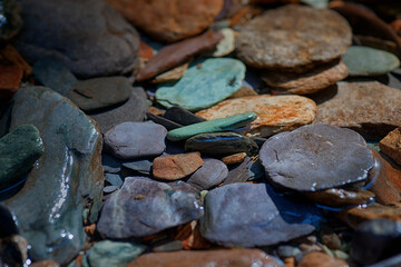 Creek Bed with Fluvial Rocks