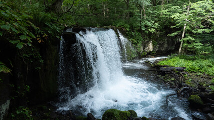 Obraz premium waterfall in the forest