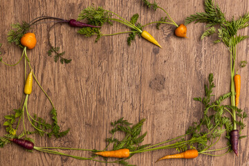 かわいいにんじん　Cute beautiful fresh carrot photo 