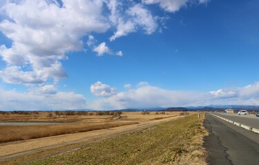 春の河川敷　渡良瀬　道　風景
