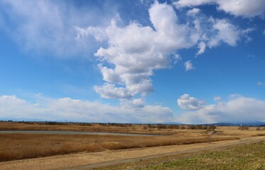 Fototapeta premium 穏やかな初春 渡良瀬 風景