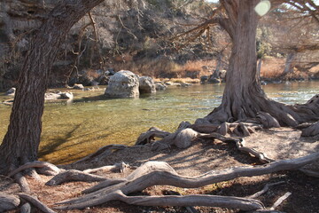 River flowing around large rock by cypress tree