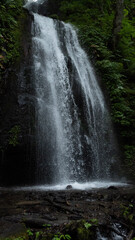 waterfall in the forest