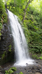 Obraz premium waterfall in the forest