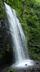 Obraz premium waterfall in the forest