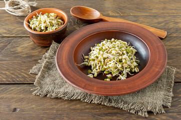 Germinated food. Sprouted beans in a plate on rustic wooden background. Macrobiotics