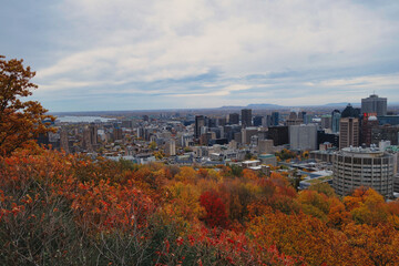 Obraz premium Vue sur Montréal en haut du Mont Royal