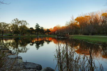 Reflet des arbres dans l'eau pendant la période des couleurs au Canada