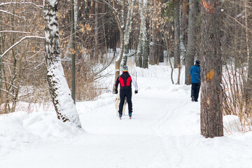 man goes skiing in the winter in the forest. selective focus