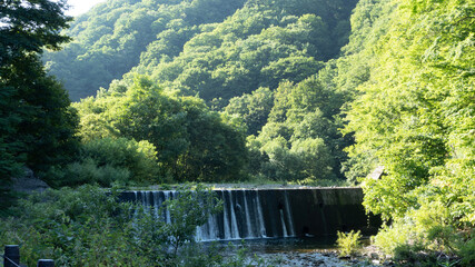 Fototapeta premium bridge