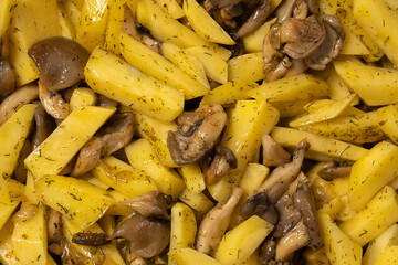 Fried oyster mushrooms with potatoes in a frying pan, oyster mushrooms or shiitake