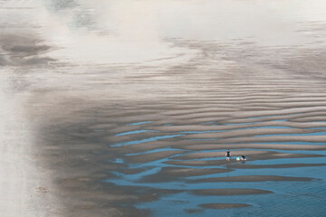 Father and son enjoying their day together on the beach