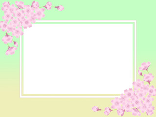 Fototapeta na wymiar 四角フレーム－パステルグリーンとパステルイエローのグラデーションの背景－桜のあしらい 